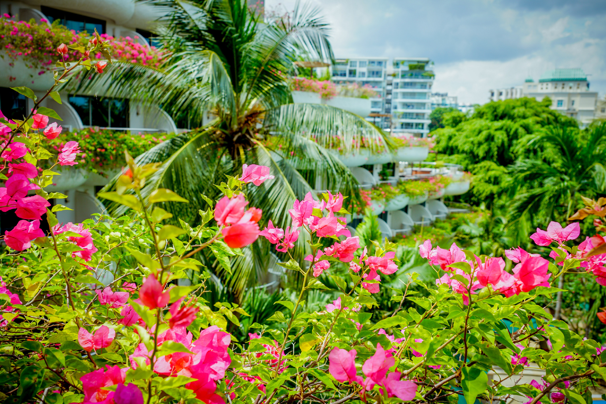 新加坡安全的酒店,新加坡安保有多强