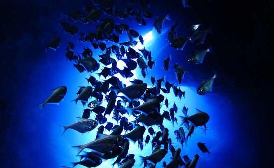 去塞班旅行自由行攻略,来塞班旅游怎么样