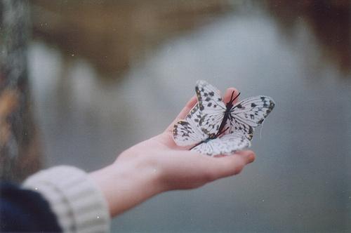 5句人生悟语，世态炎凉，总是读不懂人情冷暖！