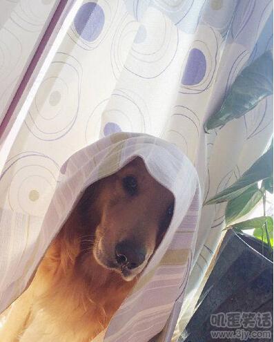 开心一刻幽默小笑话长笑话,幽默笑话大全笑到肚子疼段子