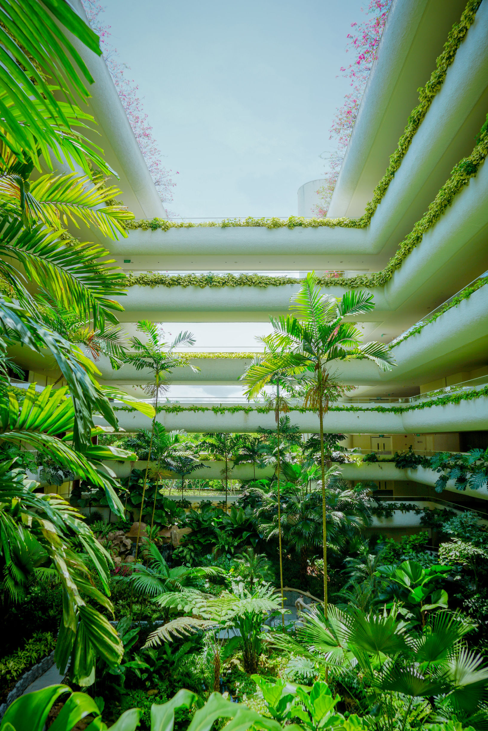 新加坡安全的酒店,新加坡安保有多强