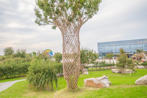 紫薇的价值及图片,紫薇观赏价值