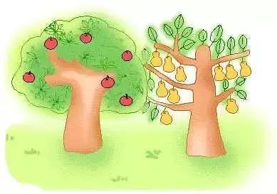 库尔勒香梨真假对照表,买到假的库尔勒香梨能够维权吗