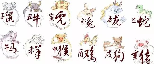 十二生肖富贵命有哪几个生肖,12生肖各有各的命看看你是什么命
