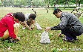 这种菜炒鸡蛋，网上卖一百多元一斤，吃过都说香