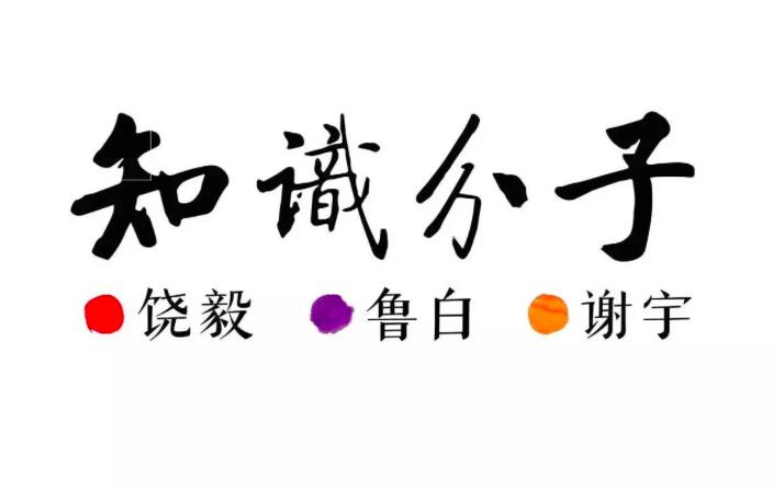 数学家与数学发展史,数学史最伟大的数学家