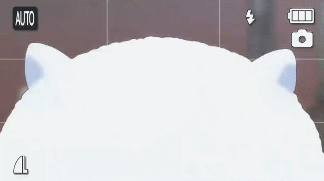 请问今天来点兔子吗,请问要来点兔子吗