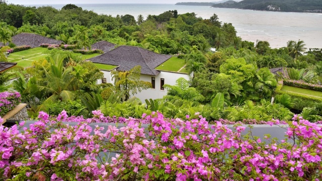 谁陪我度过安达拉的迷人夜