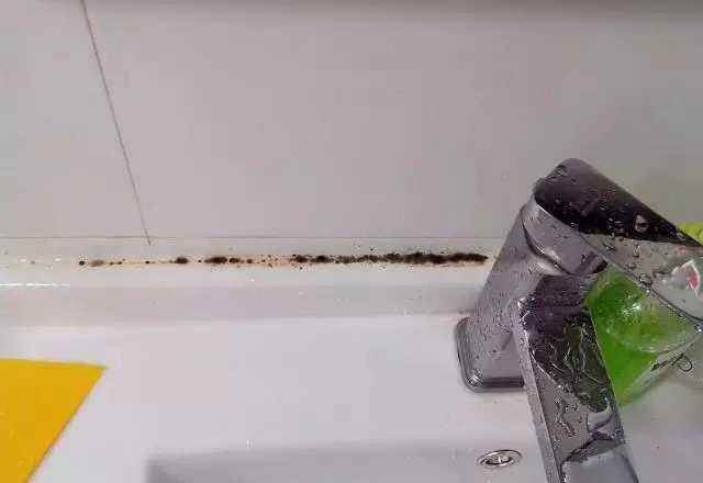 厨房水盆黑呼呼的怎么都刷不掉，问了专业师傅，我赶紧换了玻璃胶