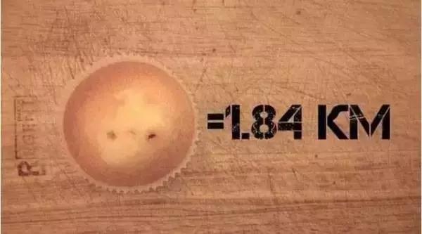 吃什么能够掉脂肪掉得快,吃了很多东西运动有用吗