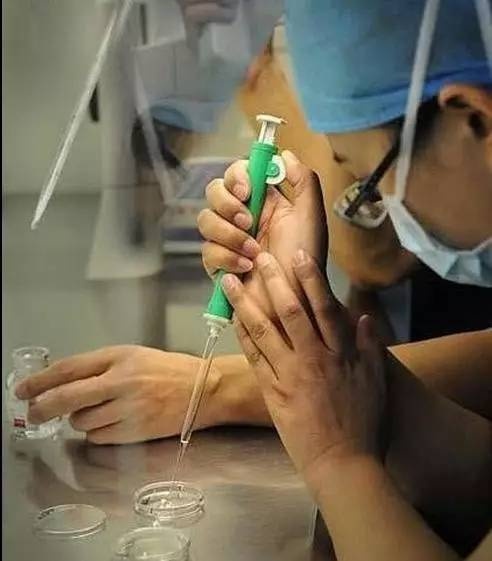 人工授精的原理是什么样的,人工授精由来