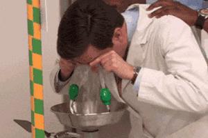 有哪些关于乌龟的冷知识,乌龟的物种介绍