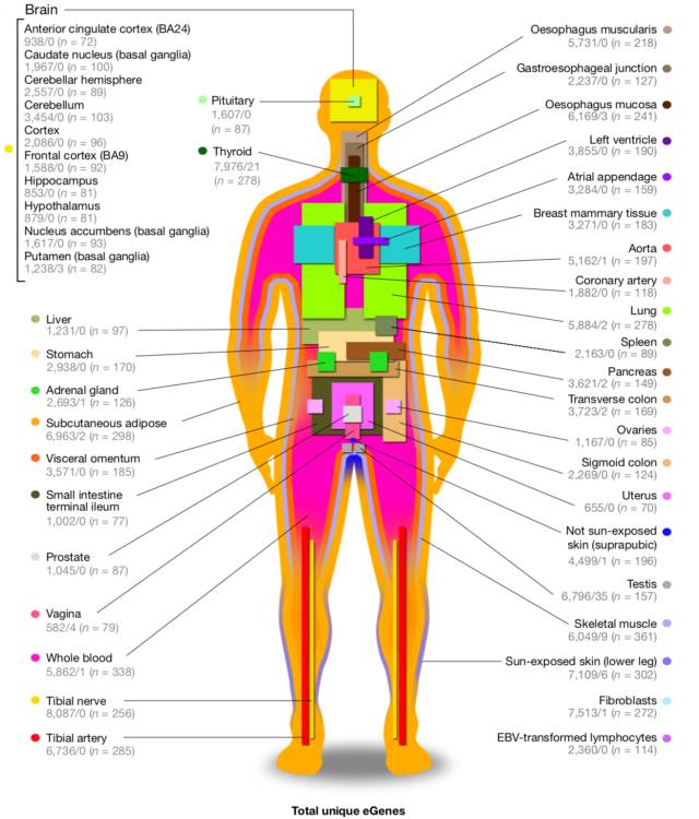 自然杂志最新人类基因研究,自然杂志最新研究
