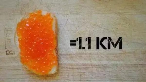 吃什么能够掉脂肪掉得快,吃了很多东西运动有用吗