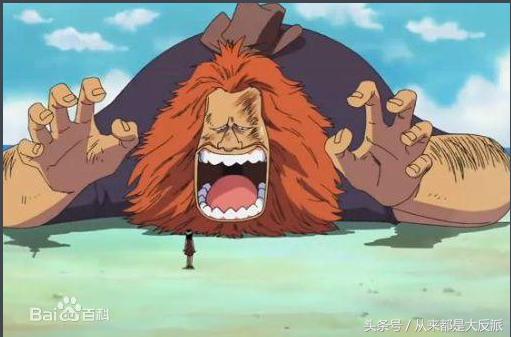 海贼王有多少人出场,海贼王一共出现了多少个人物