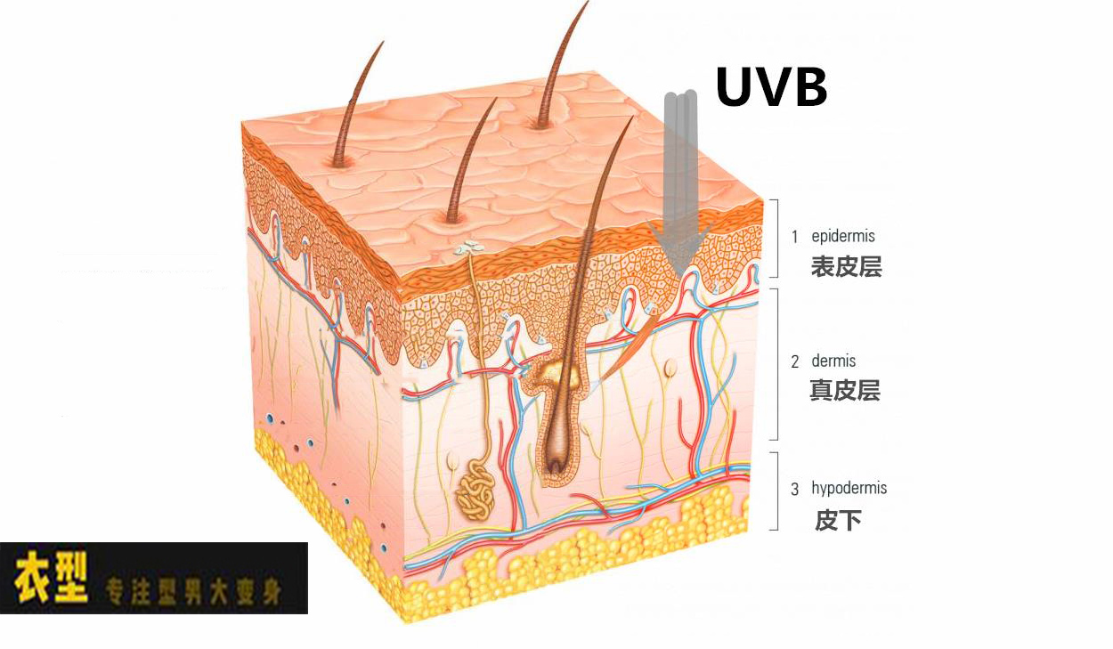 男生变白最有效的方法测评,男生变白小技巧学生党