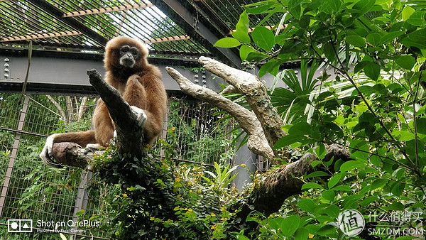日本一日游皇居,自由行日本皇居攻略