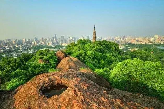 杭州的第一次，老杭州人才知道，肯德基、麦当劳，龙翔最早是菜场