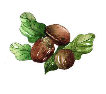 秋冬季节让你的皮肤更保湿,秋冬皮肤变得干燥