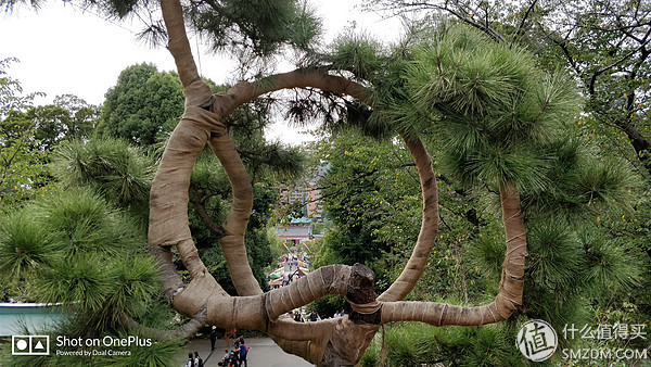 日本一日游皇居,自由行日本皇居攻略