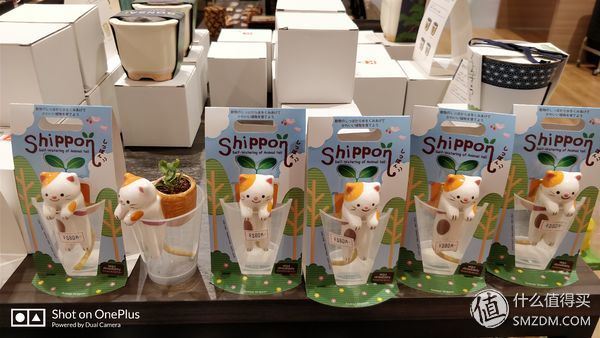 十一长假带着亲人玩,十一假期陪家人四处逛一逛