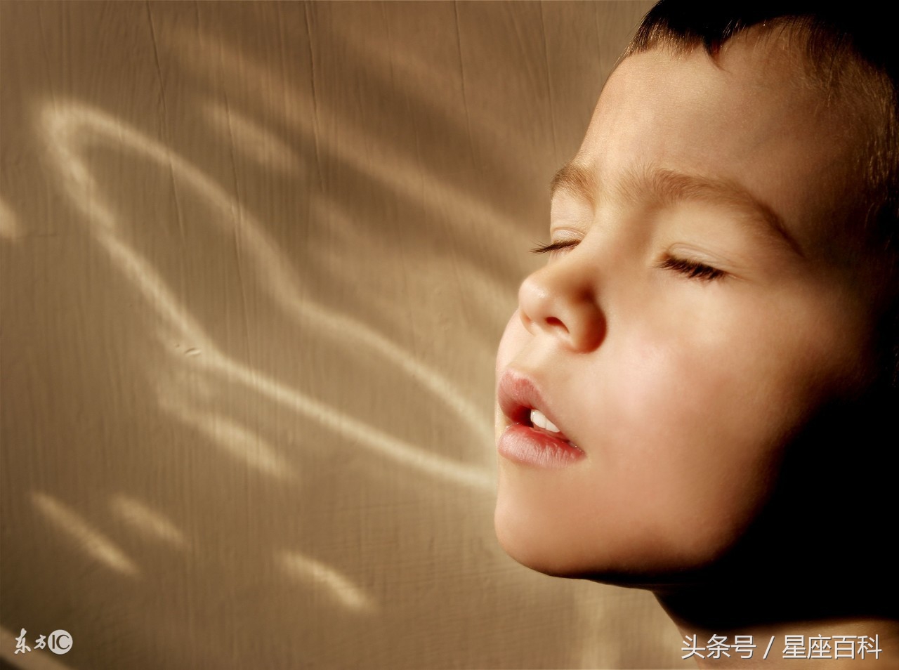 想和你破镜重圆,想跟你重归于好但怕重蹈覆辙