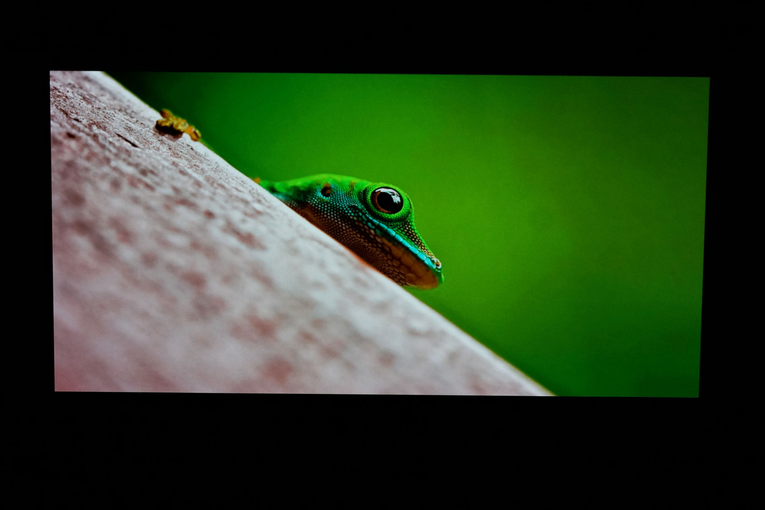 金立m7评测完全版,金立m7测评