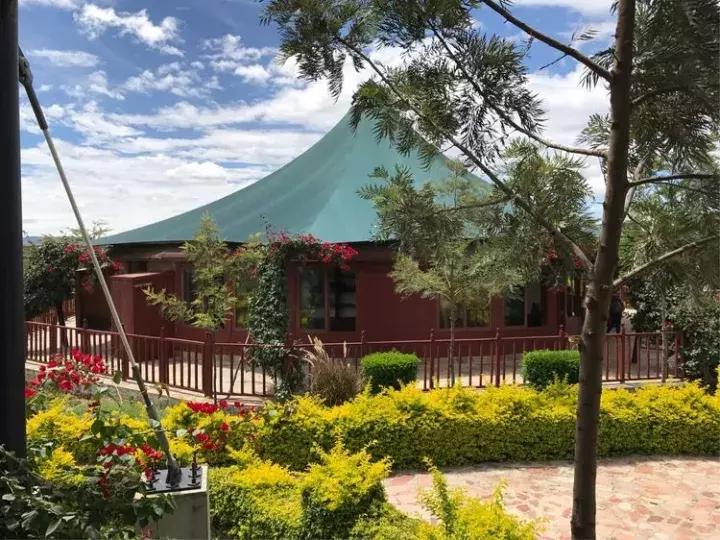 曾哥美国视频,曾哥美国