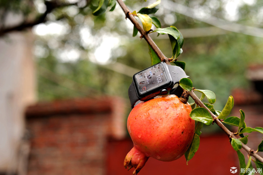 applewatchseries3测评,applewatchseries38g体验