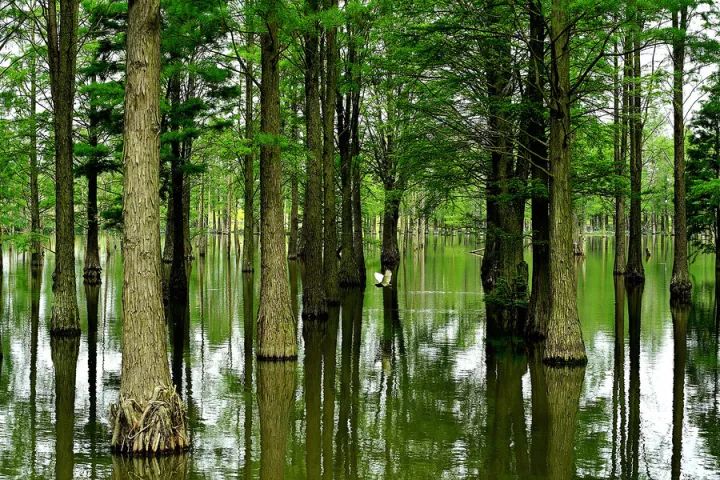 喜大普奔！上海这些东西统统免费，不知道你就亏大了！