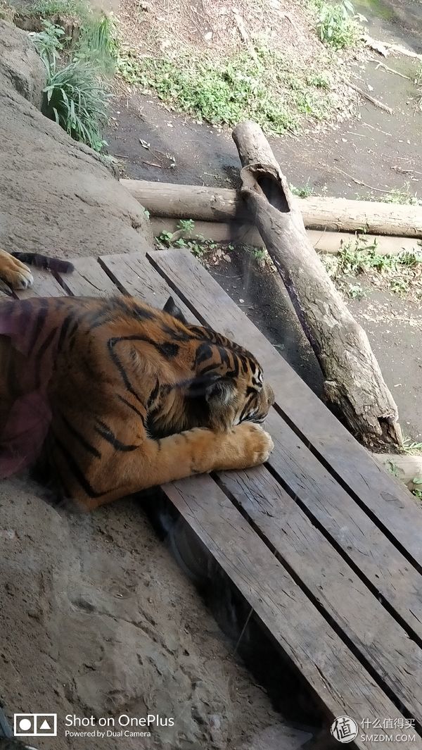 日本一日游皇居,自由行日本皇居攻略