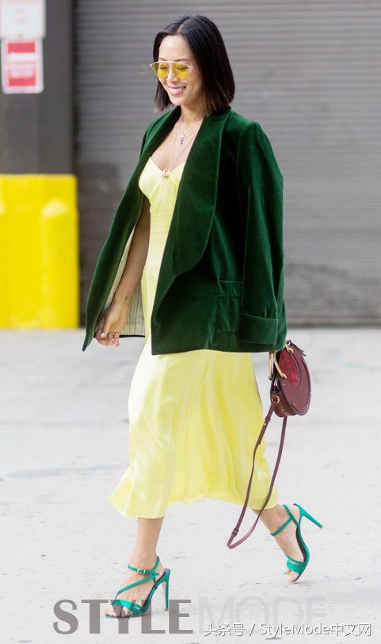 天鹅绒怎么才能蓬松回去,天鹅绒怎么种比较好看