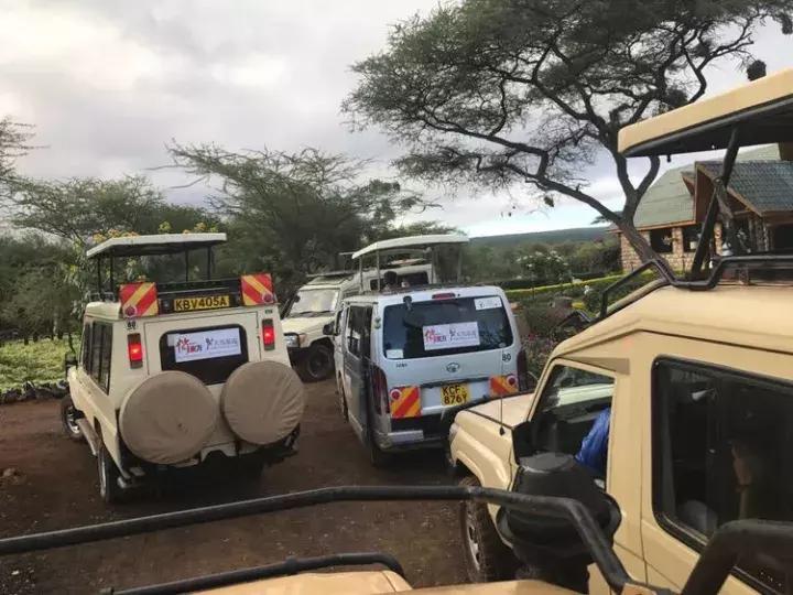 曾哥美国视频,曾哥美国