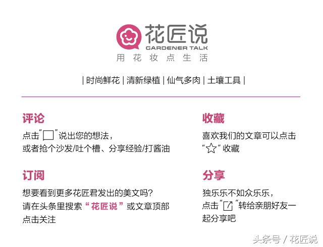 铁树病害怎么护理,铁树黄叶怎么管理