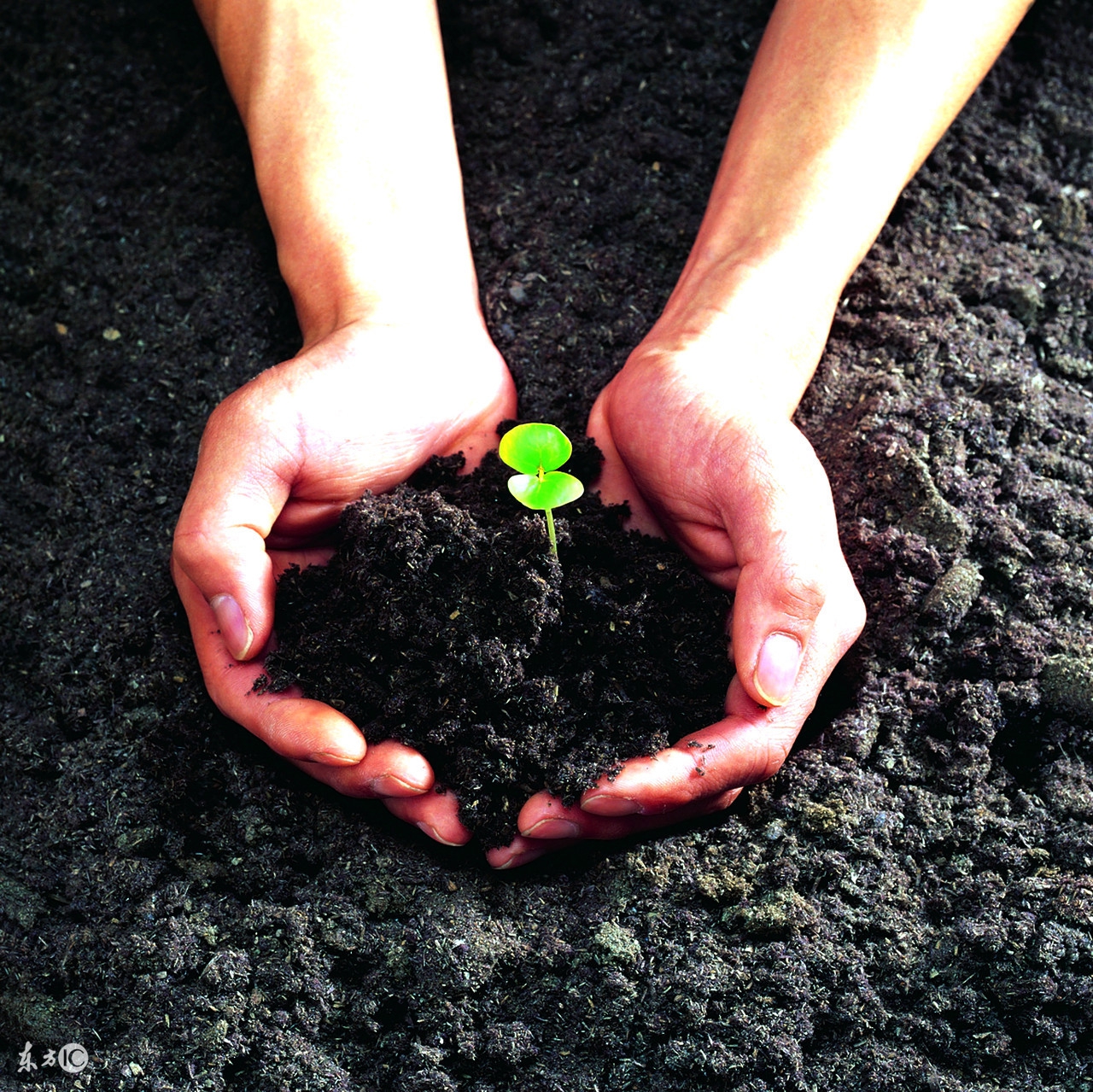 合适qq签名的短句子励志,励志的微信个性签名句子简短