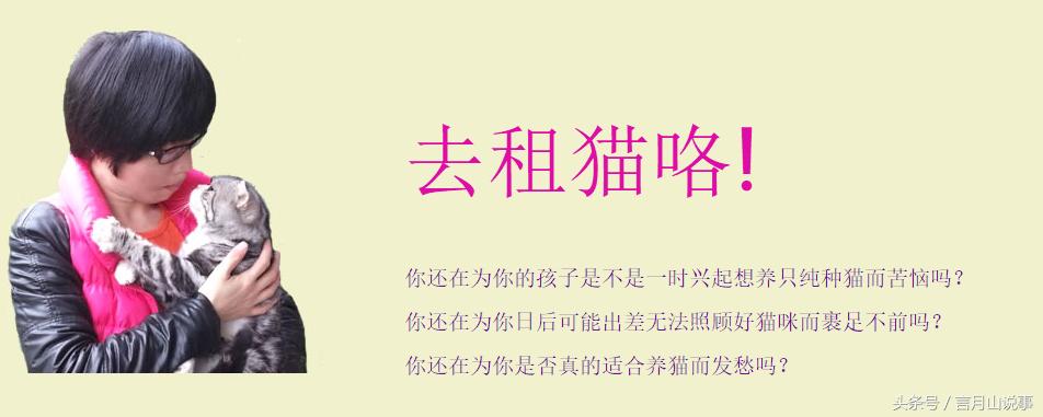 共享猫咪能够用吗,共享猫咪9.9元租一天