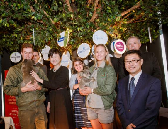 网易考拉海购与严选,网易考拉海购供应链