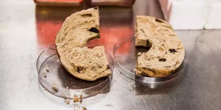 蓝鳍金枪鱼辨别真假,蓝鳍金枪鱼大腹如何辨认真假