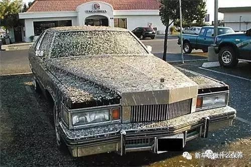 车镀晶贴膜与普通贴膜区别,汽车镀晶和贴膜哪个比较好