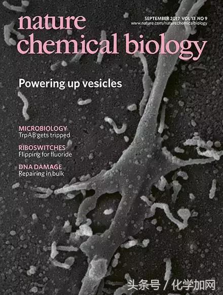 nature杂志封面2023图文,nature杂志渐变色