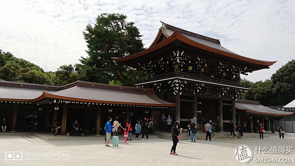 十一假期去日本旅游的有多少,十一长假全家去游玩