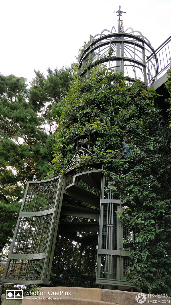 十一假期去日本旅游的有多少,十一长假全家去游玩