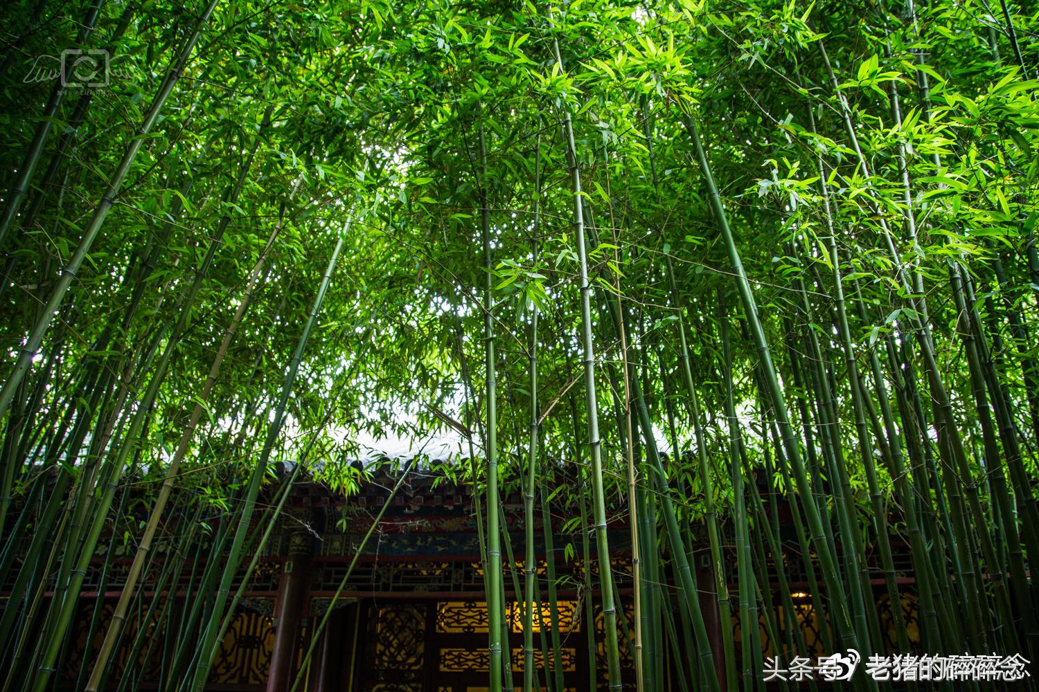 京城龙脉,一座和珅府半部清代史