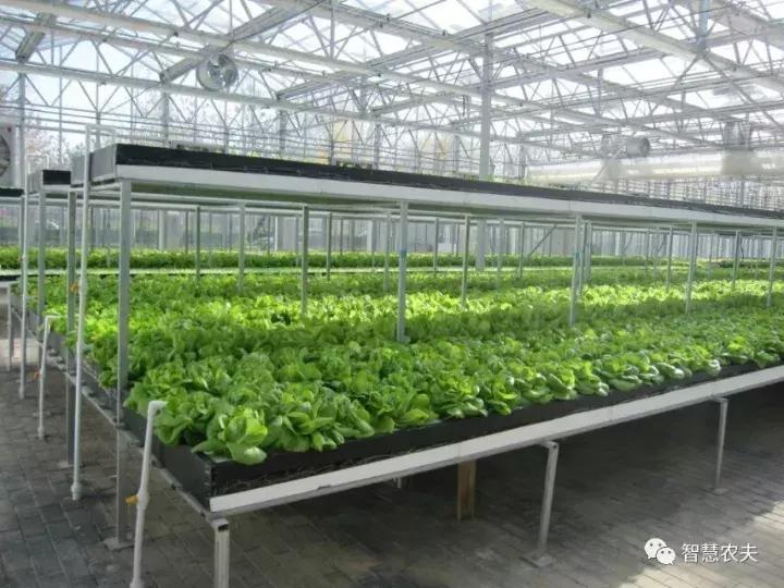 无土栽培营养液配方表,无土栽培技术视频大全