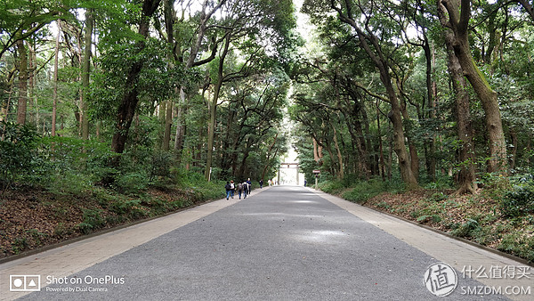 十一假期去日本旅游的有多少,十一长假全家去游玩