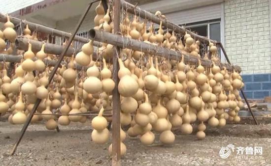 葫芦发家致富,中国葫芦第一村多少钱