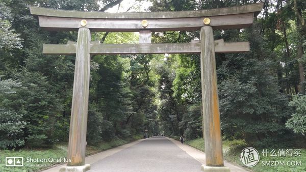 十一假期去日本旅游的有多少,十一长假全家去游玩