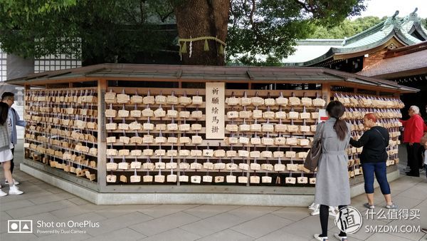 十一假期去日本旅游的有多少,十一长假全家去游玩