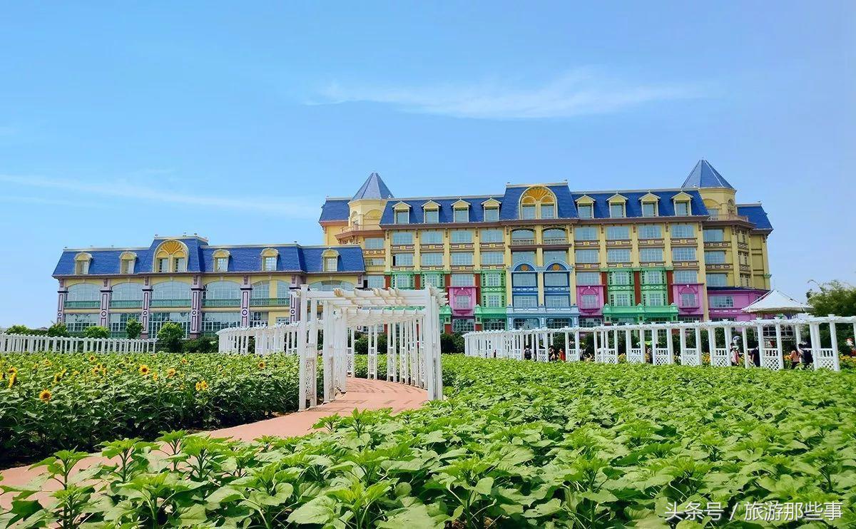 广州有什么看海的度假酒店,广州看海酒店推荐