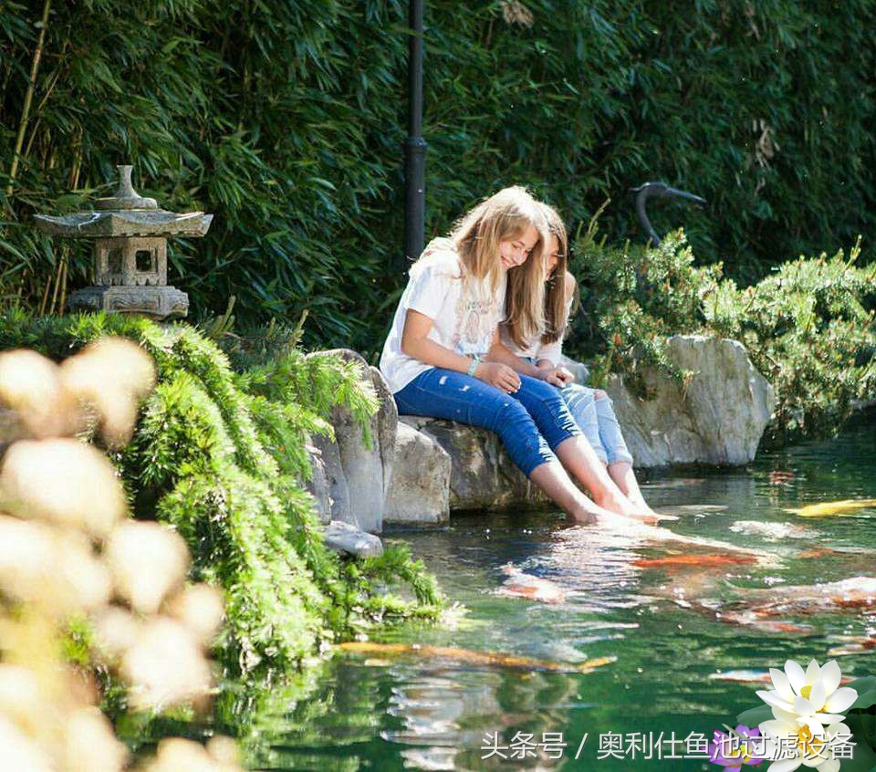 渔夫与美人鱼的故事,美人鱼和小鱼的故事文字